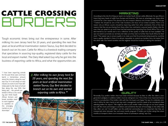 Cattle Crossing borders article